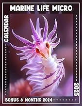 Explore 18 Months of Miniature Marine Life Planning