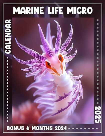 Explore 18 Months of Miniature Marine Life Planning