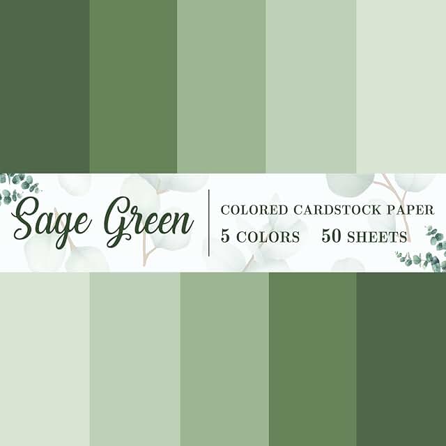 50 Sheets of Sage Green Thick 8.5x11 Paper for Crafts and Printing