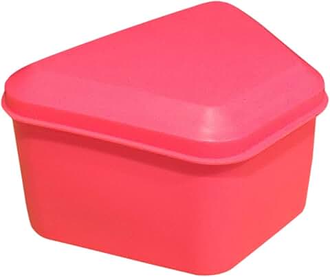 Hot Pink Denture Soaking Container