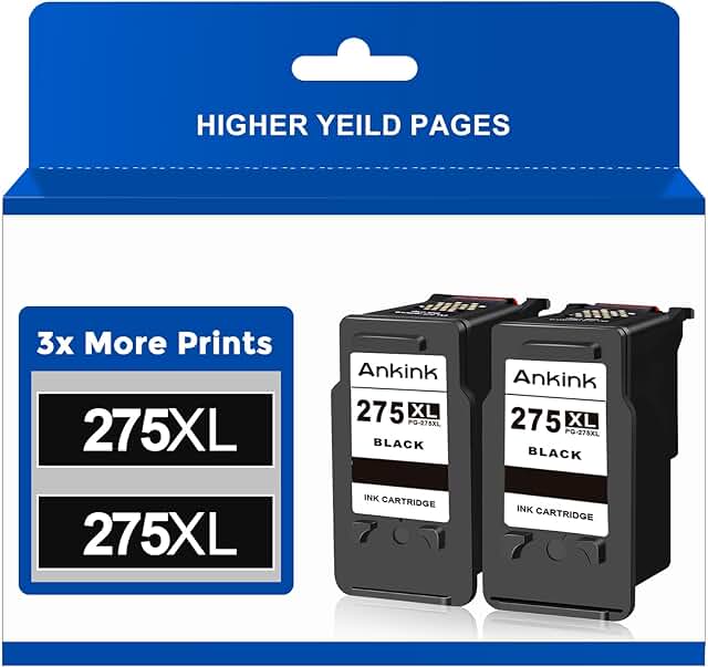 Black ink cartridge replacement for Pixma printers, 2-pack