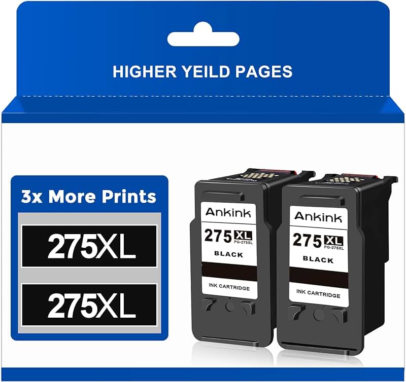 Black ink cartridge replacement for Pixma printers, 2-pack