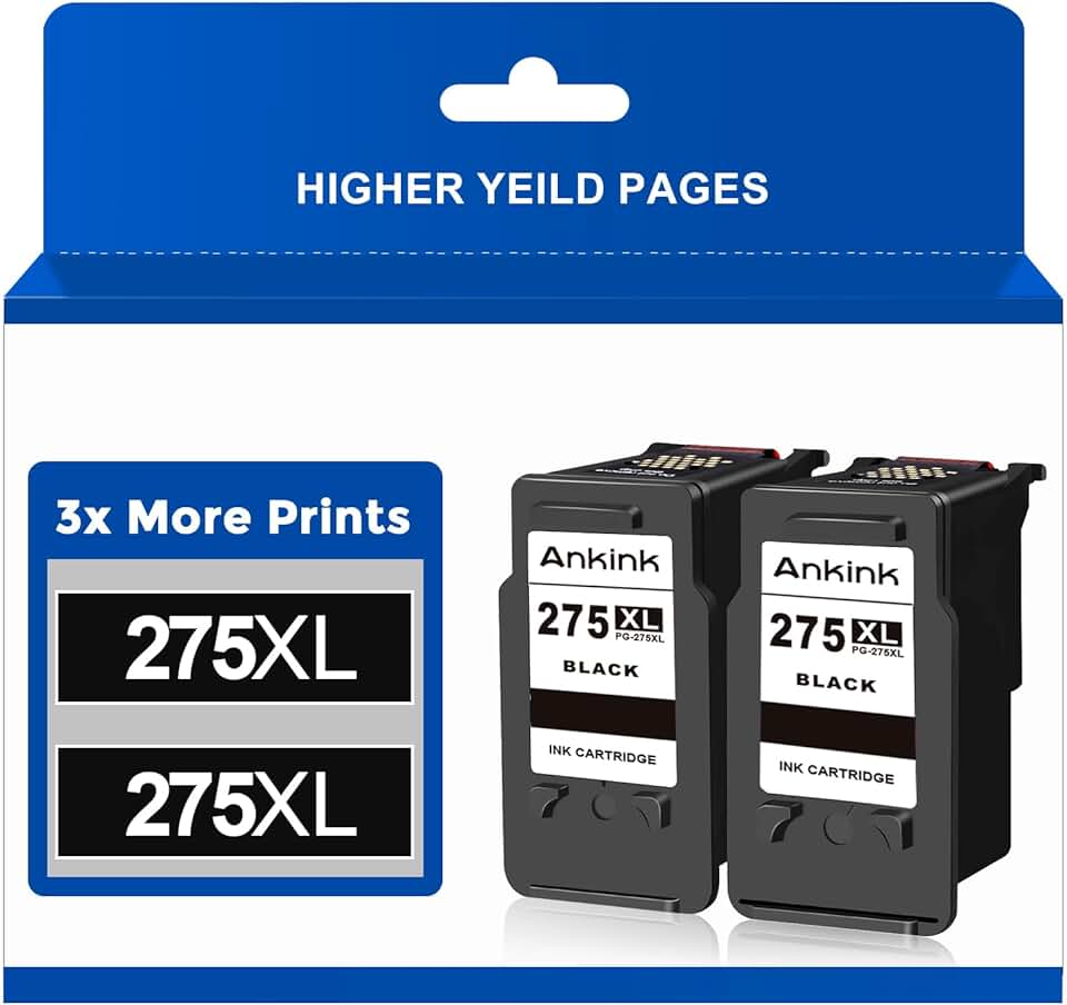 Black ink cartridge replacement for Pixma printers, 2-pack