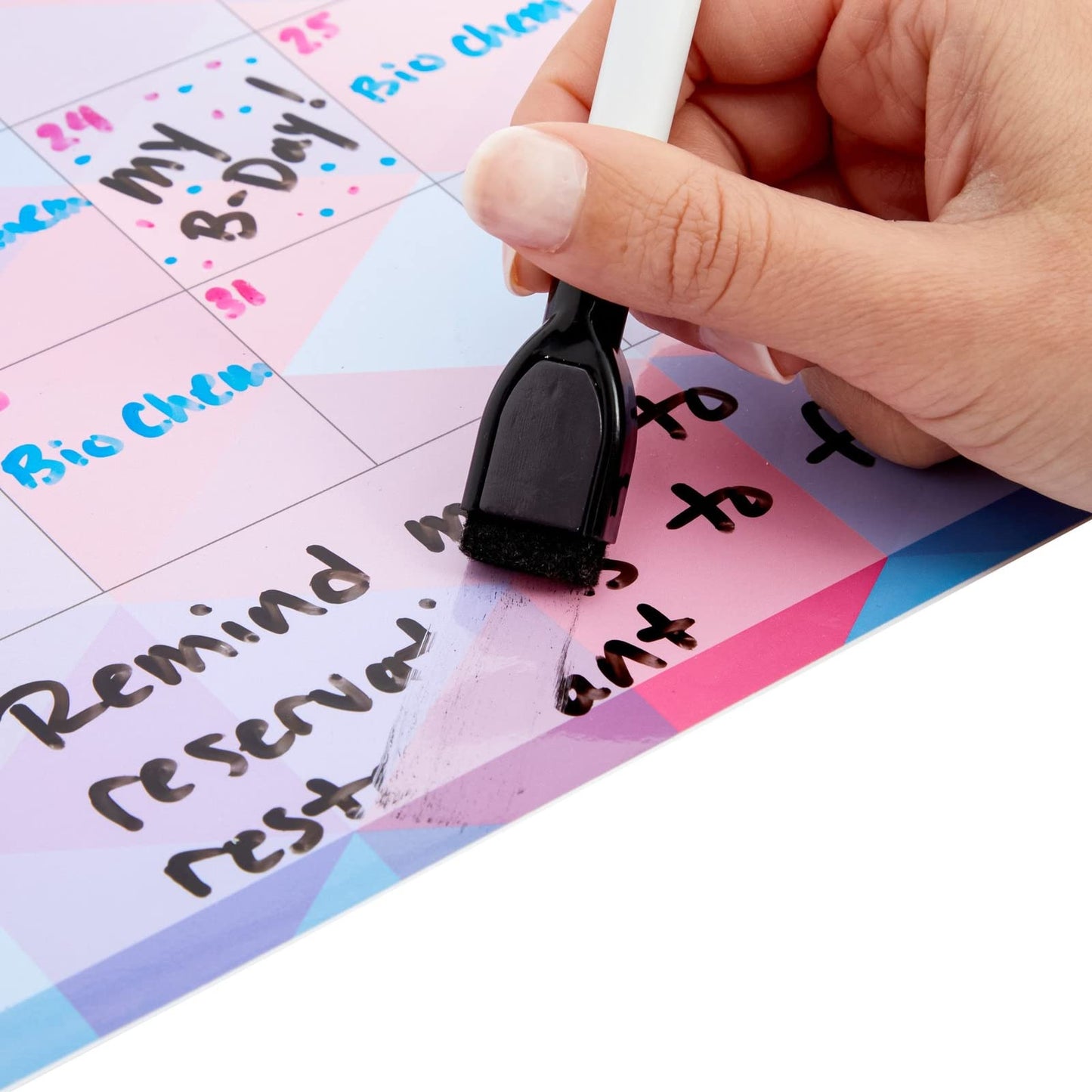 6-Pack Reusable Monthly Peel-and-Stick Calendar in Assorted Colors
