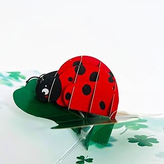 Ladybug and plant 3D pop-up greeting card set