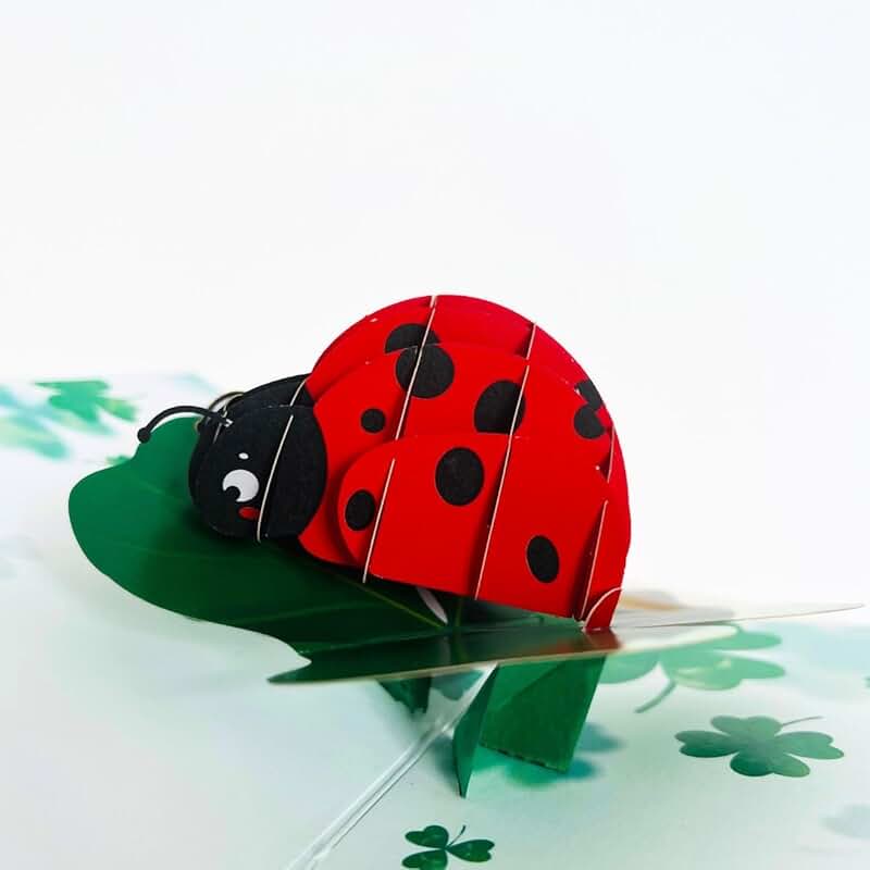 Ladybug and plant 3D pop-up greeting card set