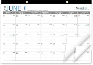 2025-2026 19-Month Desk and Wall Calendar
