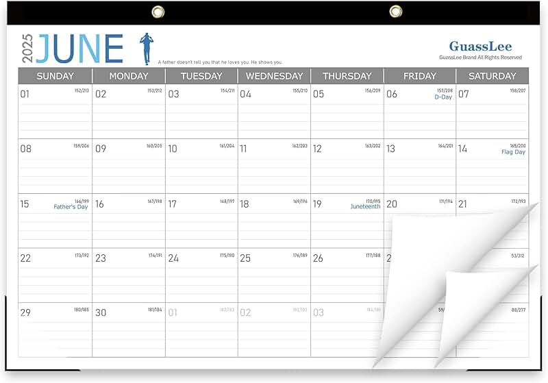 2025-2026 19-Month Desk and Wall Calendar