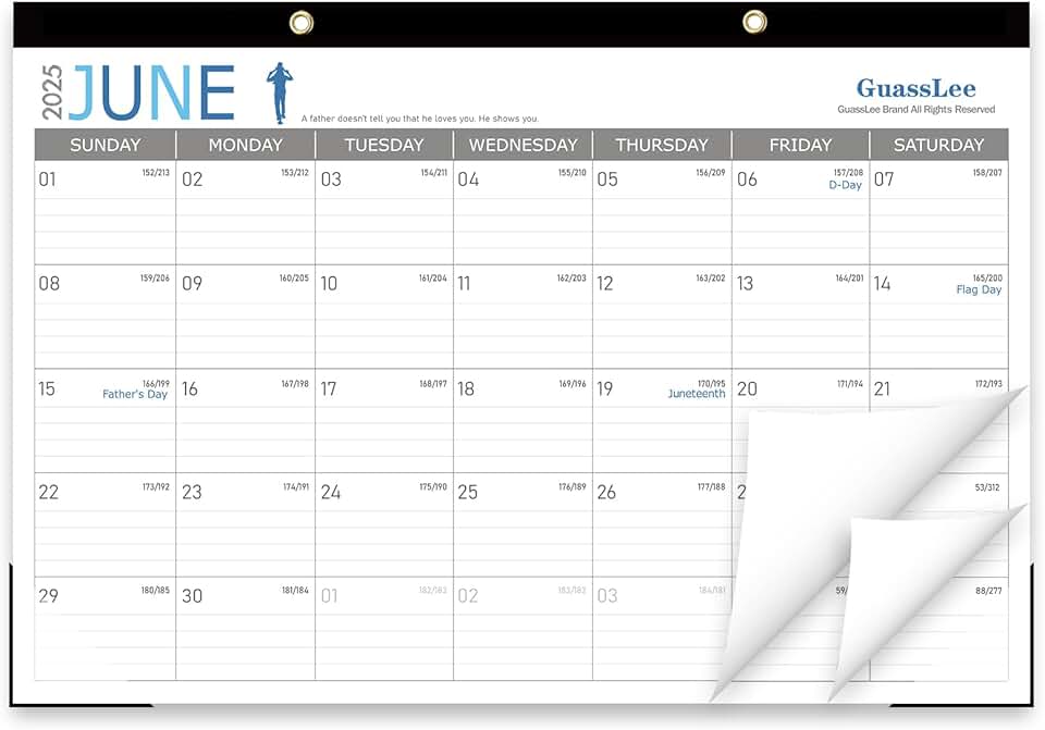 2025-2026 19-Month Desk and Wall Calendar