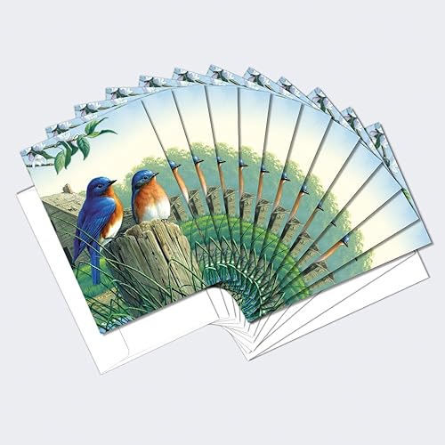 All Occasion Greeting Cards with Bluebirds, 12 Pack