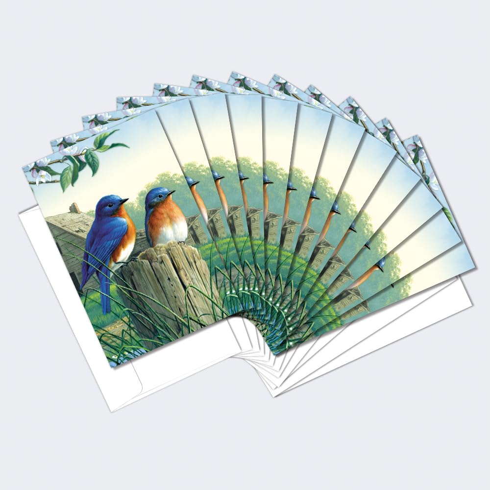 All Occasion Greeting Cards with Bluebirds, 12 Pack