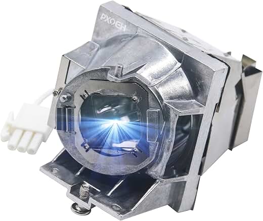 High-Quality RLC-108 Projector Lamp with Housing