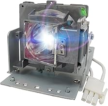 High-Quality 5J.JED05.001 Projector Lamp with Housing