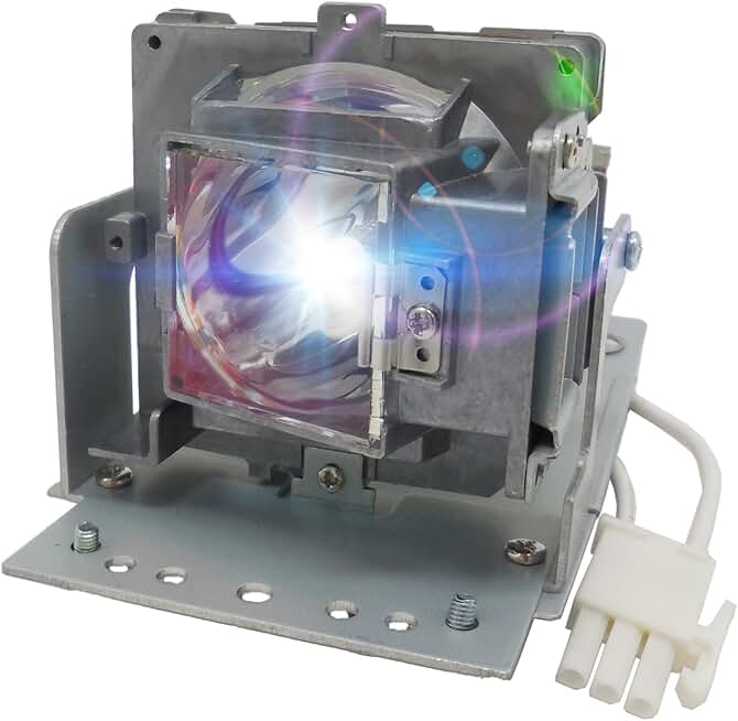 High-Quality 5J.JED05.001 Projector Lamp with Housing