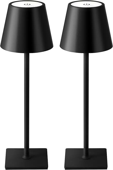 Two Portable Cordless LED Desk Lamps with Dimming