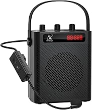 30W Wireless Voice Amplifier with Headset Microphone