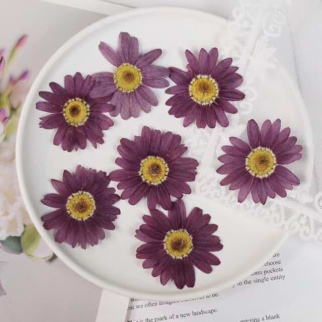 Set of 36 Large Dried Pressed Flowers for Crafts