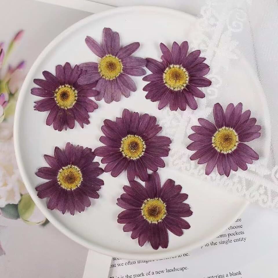 Set of 36 Large Dried Pressed Flowers for Crafts