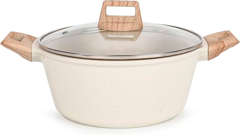 Large Nonstick Stock Pot with Lid