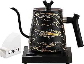 Electric gooseneck kettle with temperature control and coffee filter