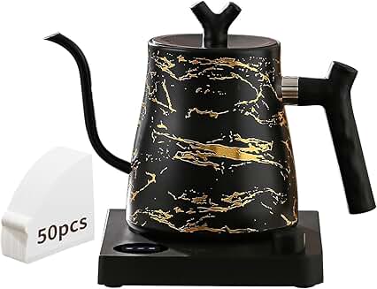 Electric gooseneck kettle with temperature control and coffee filter