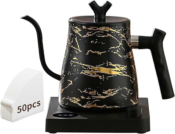 Electric gooseneck kettle with temperature control and coffee filter
