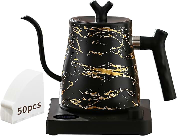 Electric gooseneck kettle with temperature control and coffee filter