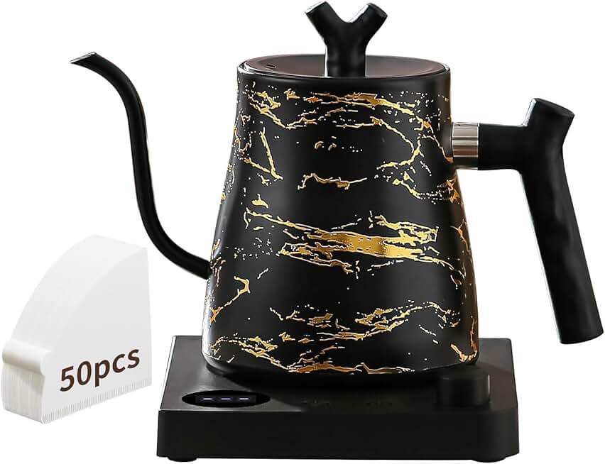 Electric gooseneck kettle with temperature control and coffee filter