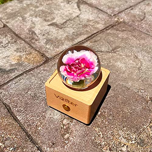Bluetooth Speakers Crystal Ball LED Lighting Premium Preserved Fresh Flower with Wood Base Never Withered Eternal Night Light (Pink Carnation)