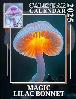 Enchanting Lilac Bonnet for Stylish Yearly Organization