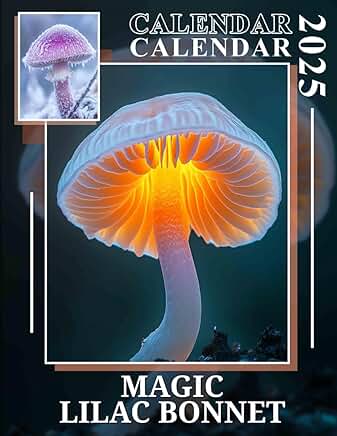 Enchanting Lilac Bonnet for Stylish Yearly Organization
