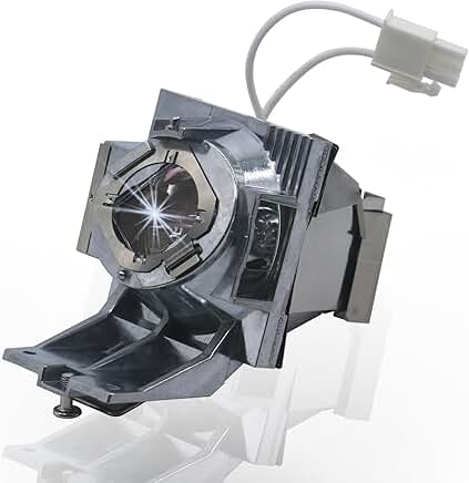 Replacement projector lamp bulb with housing