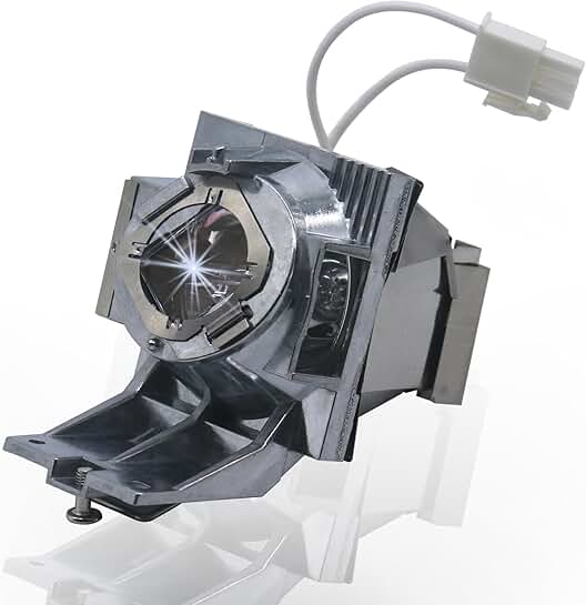 Replacement projector lamp bulb with housing