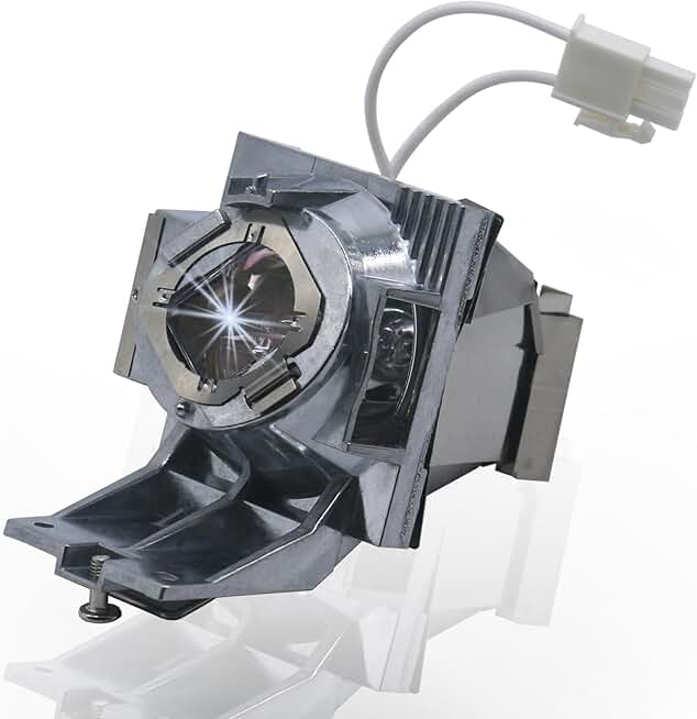 Replacement projector lamp bulb with housing