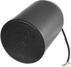 6.5-Inch 40W Ceiling Hanging Pendent Speaker