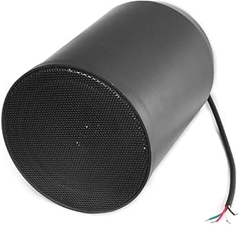 6.5-Inch 40W Ceiling Hanging Pendent Speaker