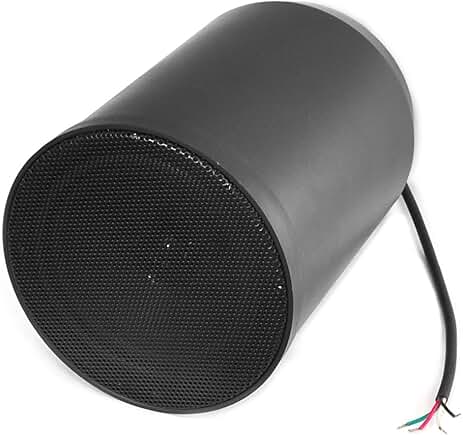 6.5-Inch 40W Ceiling Hanging Pendent Speaker