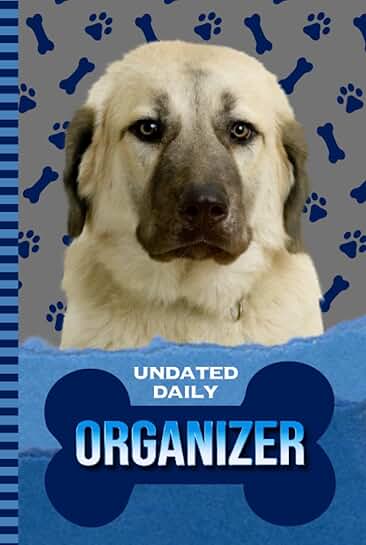 Daily Organizer with Blue Paw Print Cover
