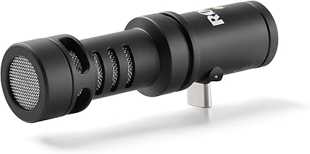 Directional Microphone for USB-C Mobile Devices