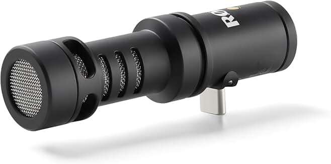 Directional Microphone for USB-C Mobile Devices