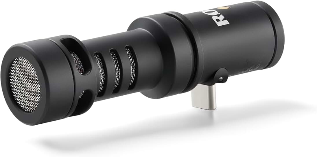 Directional Microphone for USB-C Mobile Devices