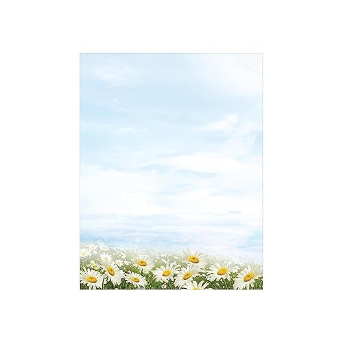 Daisy Day Letterhead Stationery, 8.5" x 11", 80 sheets