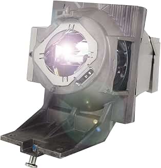 Projector Lamp with Housing for PG701 Series
