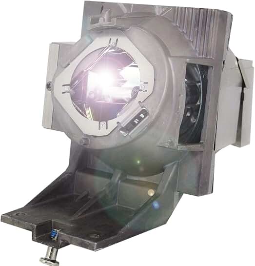 Projector Lamp with Housing for PG701 Series
