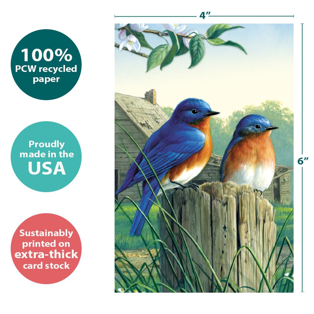 All Occasion Greeting Cards with Bluebirds, 12 Pack