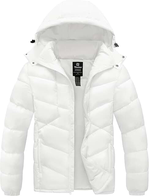 Men's Waterproof Puffer Winter Coat with Hood