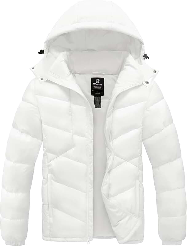 Men's Waterproof Puffer Winter Coat with Hood