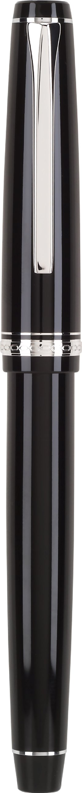 Black Fountain Pen with Rhodium Accents and Medium Nib