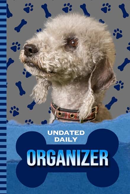 Daily Organizer with Blue Paw Print Cover