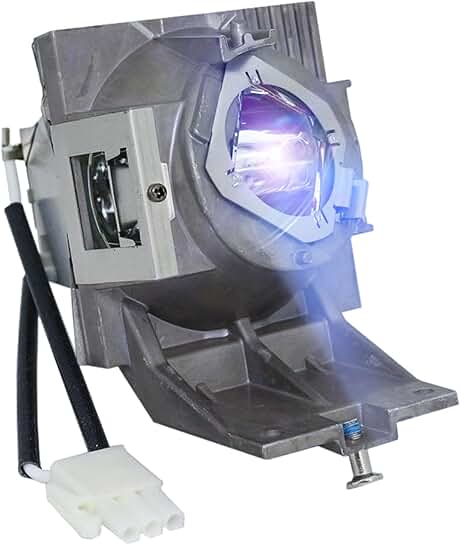 High-Quality RLC-117 Projector Bulb with Housing